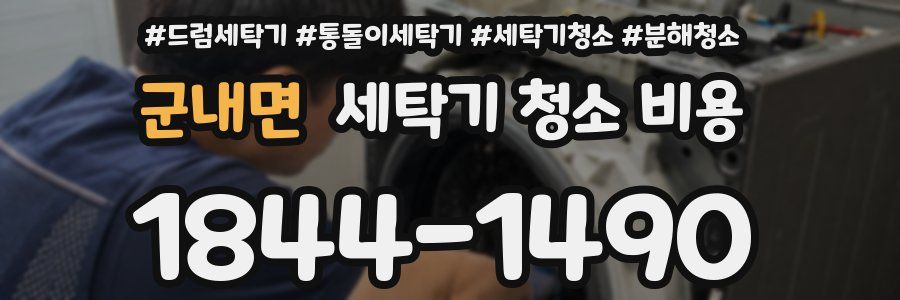 군내면 세탁기 청소 비용