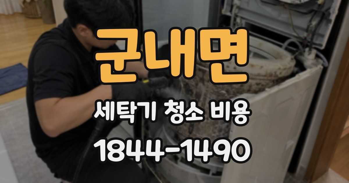 군내면 세탁기 청소 비용