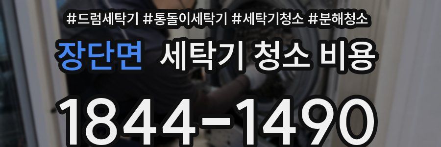 장단면 세탁기 청소 비용