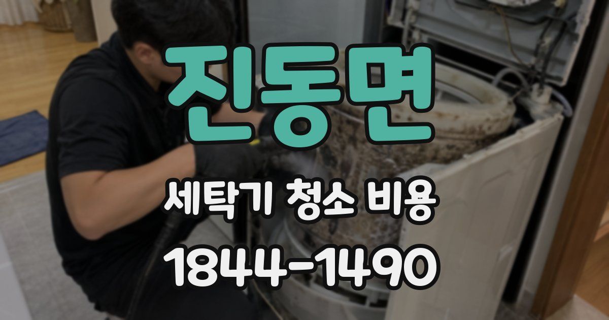 진동면 세탁기 청소 비용