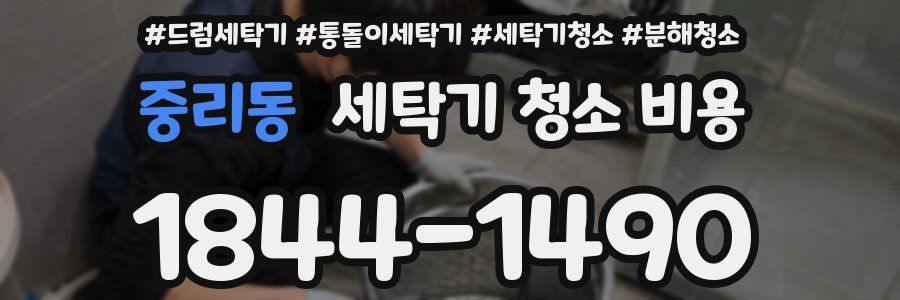 중리동 세탁기 청소 비용