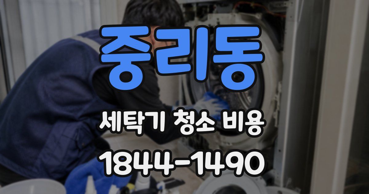 중리동 세탁기 청소 비용