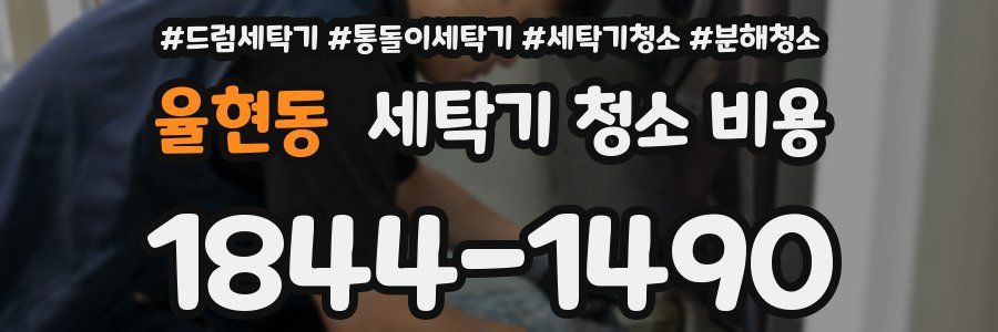 율현동 세탁기 청소 비용