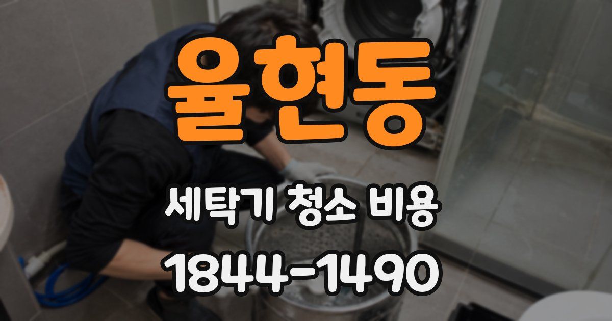 율현동 세탁기 청소 비용