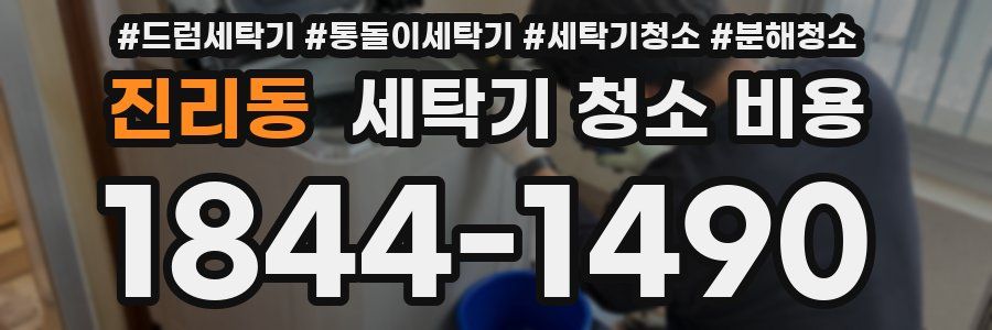 진리동 세탁기 청소 비용