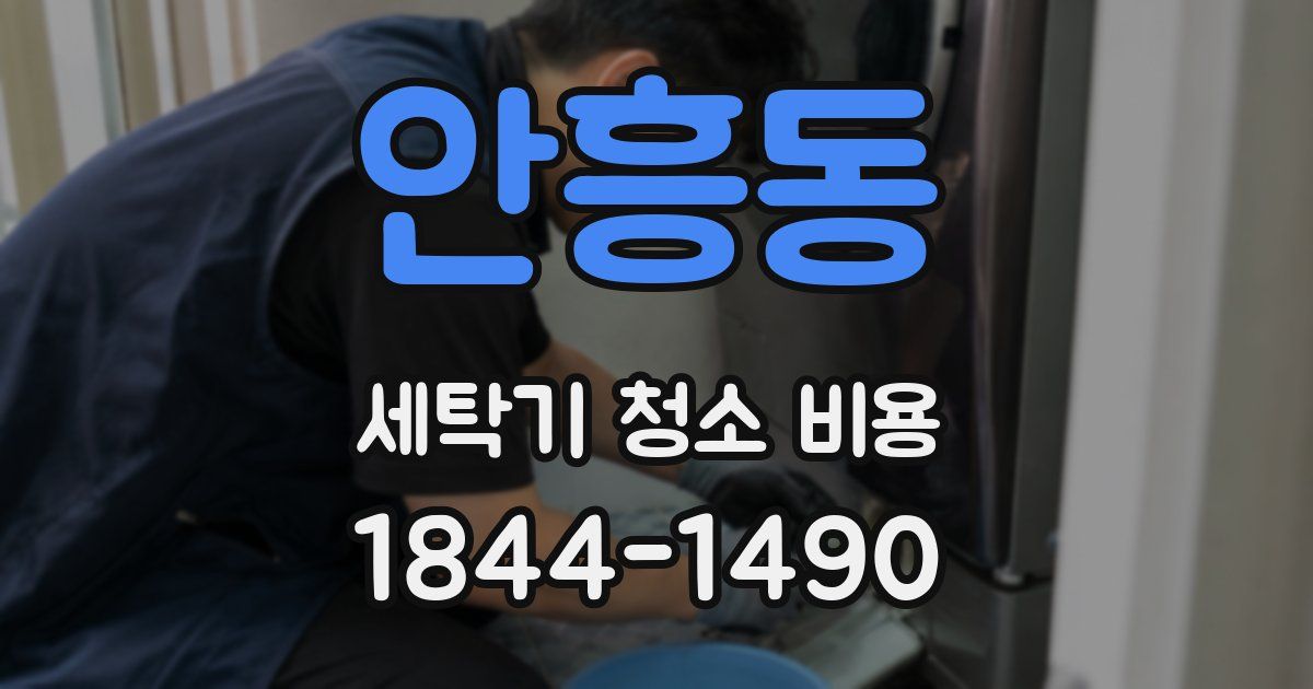 안흥동 세탁기 청소 비용