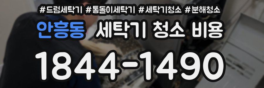 안흥동 세탁기 청소 비용