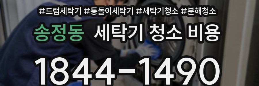송정동 세탁기 청소 비용