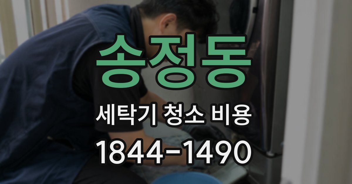 송정동 세탁기 청소 비용