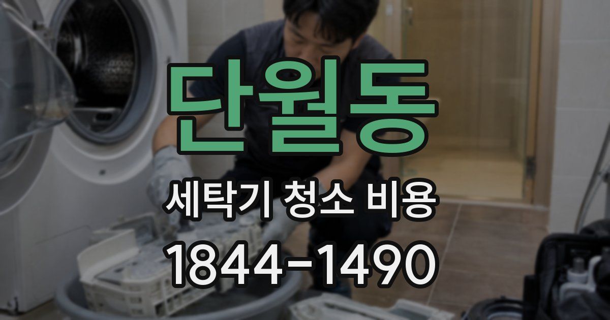 단월동 세탁기 청소 비용