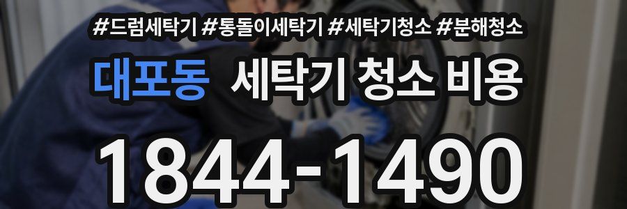 대포동 세탁기 청소 비용