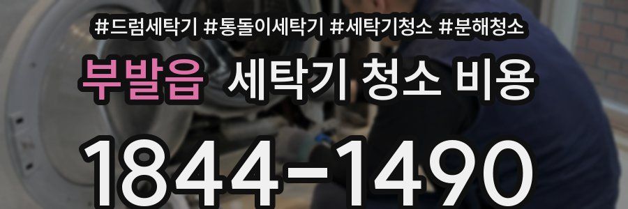 부발읍 세탁기 청소 비용