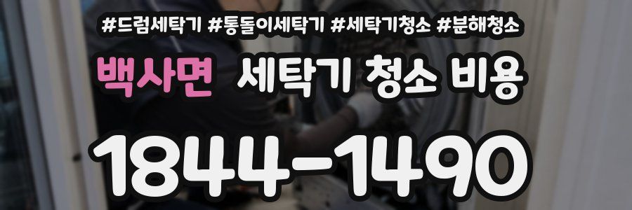 백사면 세탁기 청소 비용