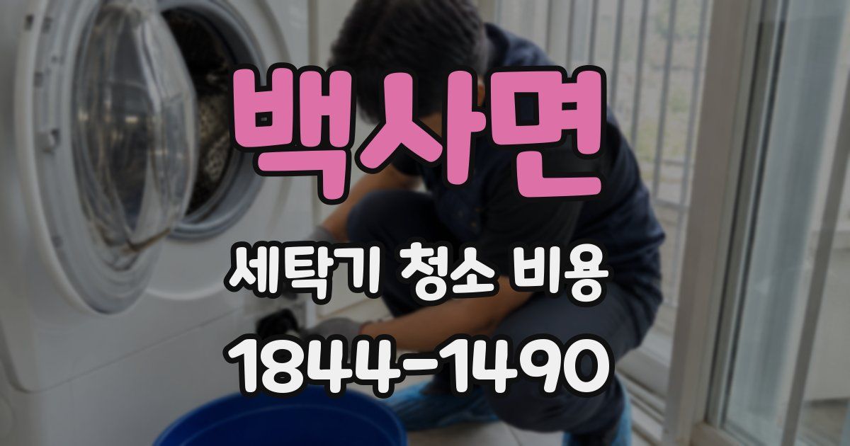 백사면 세탁기 청소 비용