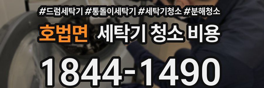 호법면 세탁기 청소 비용