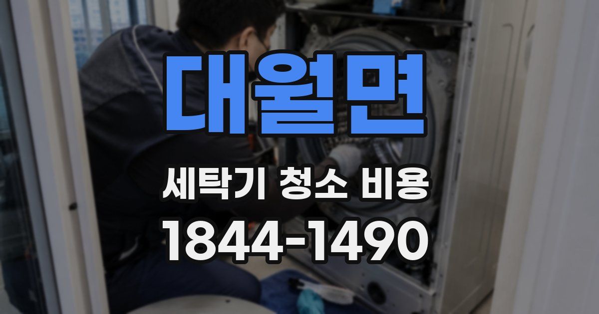 대월면 세탁기 청소 비용