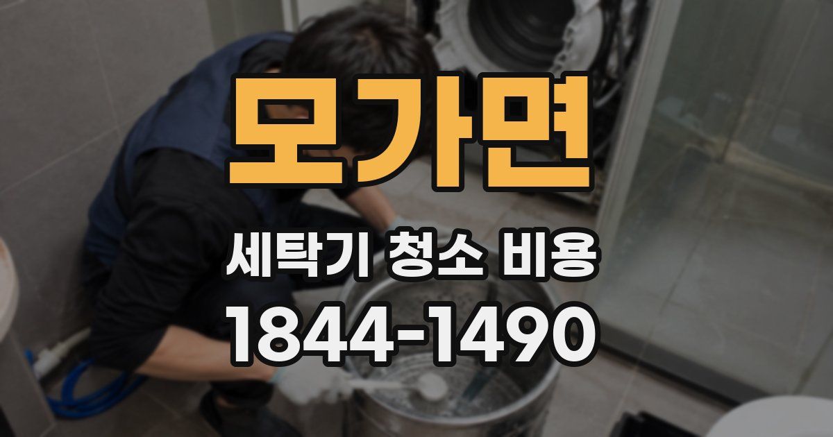 모가면 세탁기 청소 비용