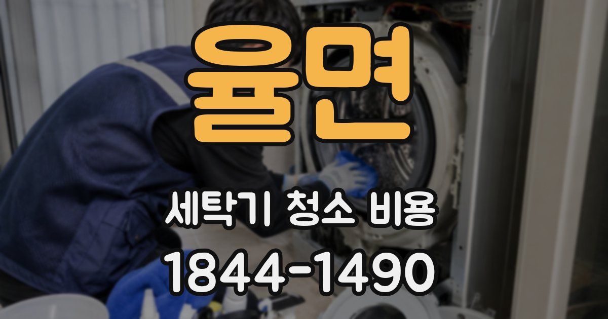 율면 세탁기 청소 비용