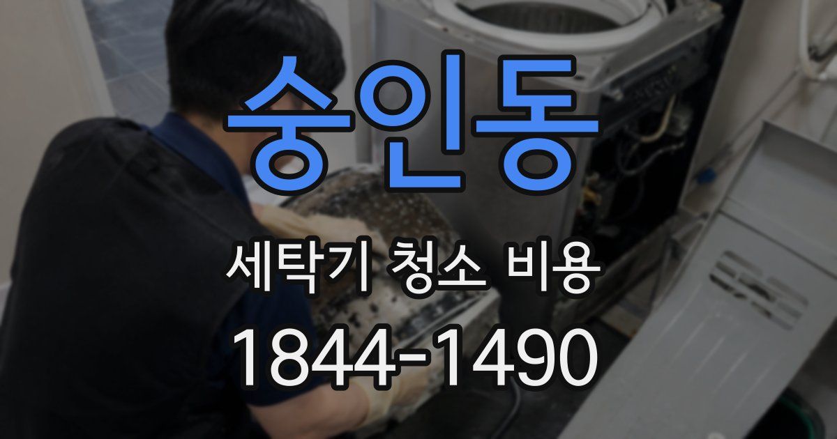 숭인동 세탁기 청소 비용