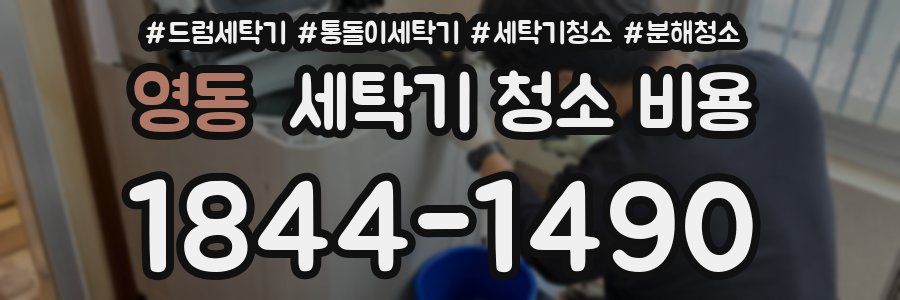 영동 세탁기 청소 비용