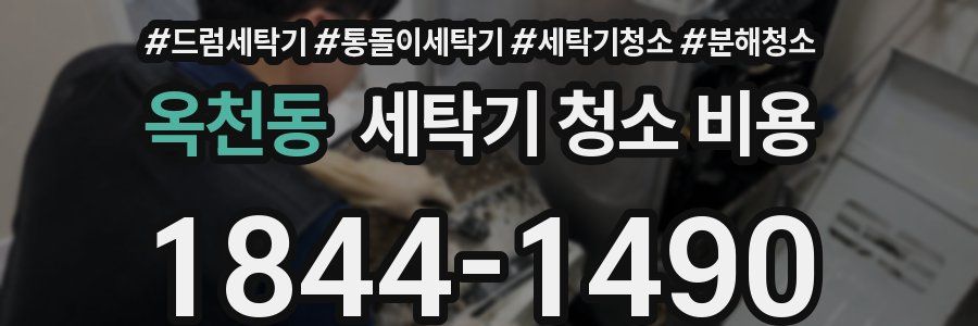 옥천동 세탁기 청소 비용