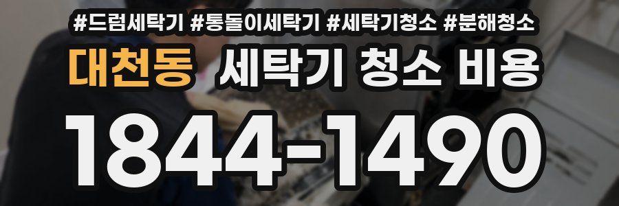 대천동 세탁기 청소 비용