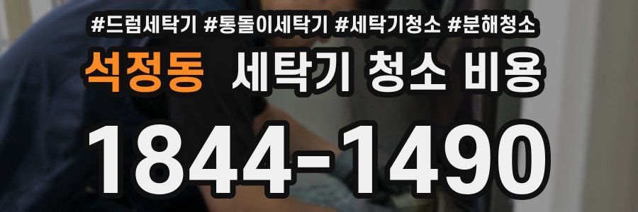 석정동 세탁기 청소 비용