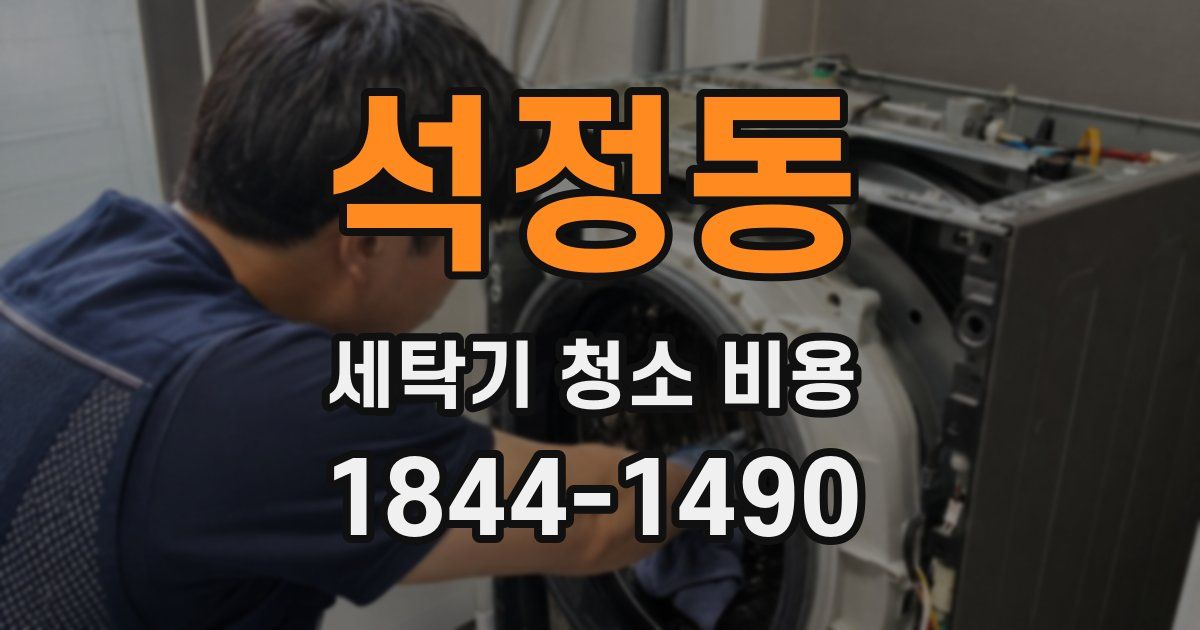 석정동 세탁기 청소 비용