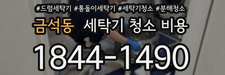 금석동 세탁기 청소 비용