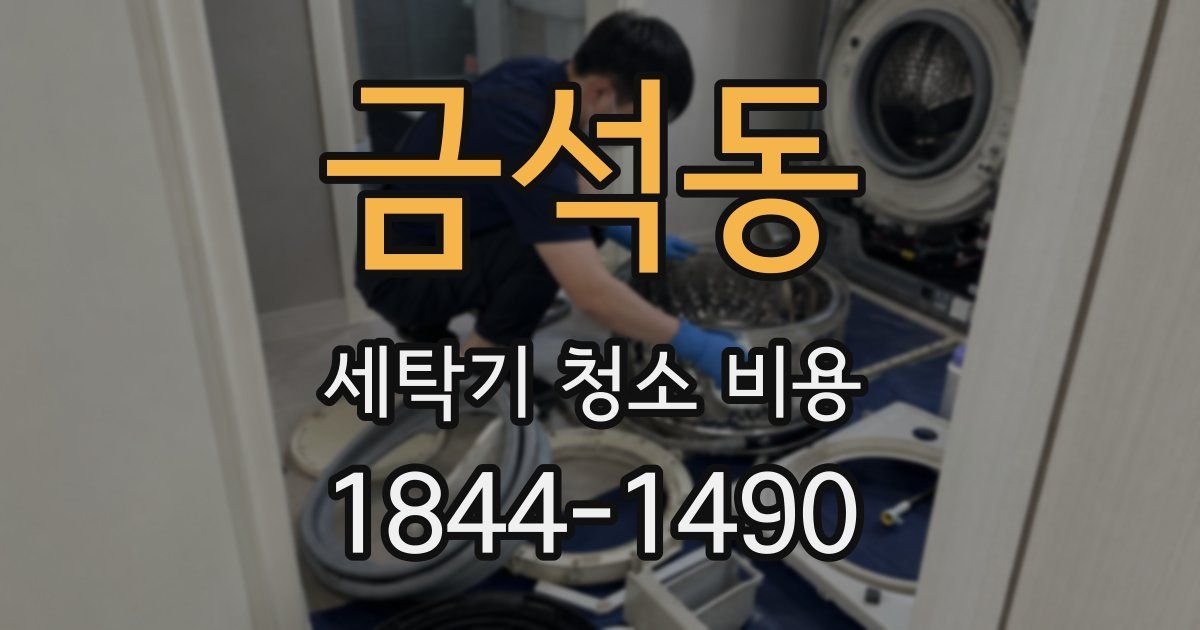 금석동 세탁기 청소 비용