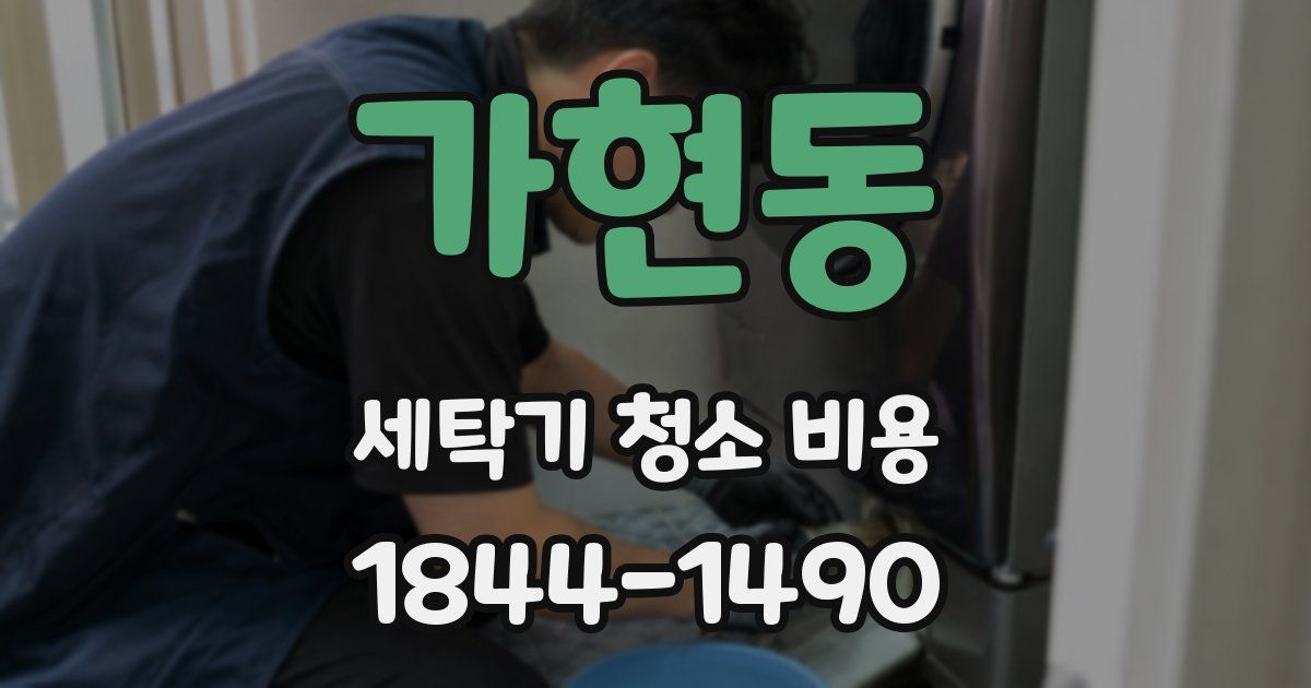 가현동 세탁기 청소 비용