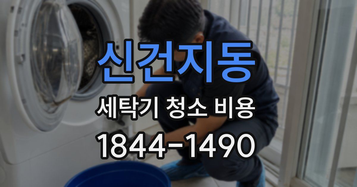 신건지동 세탁기 청소 비용