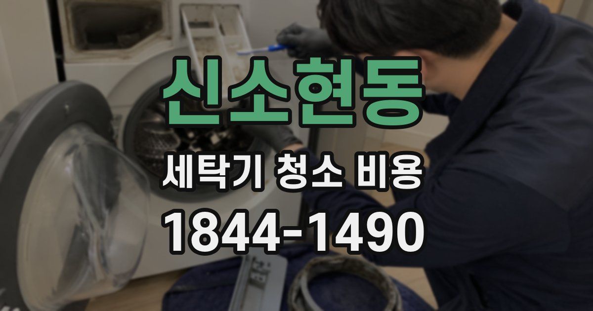 신소현동 세탁기 청소 비용