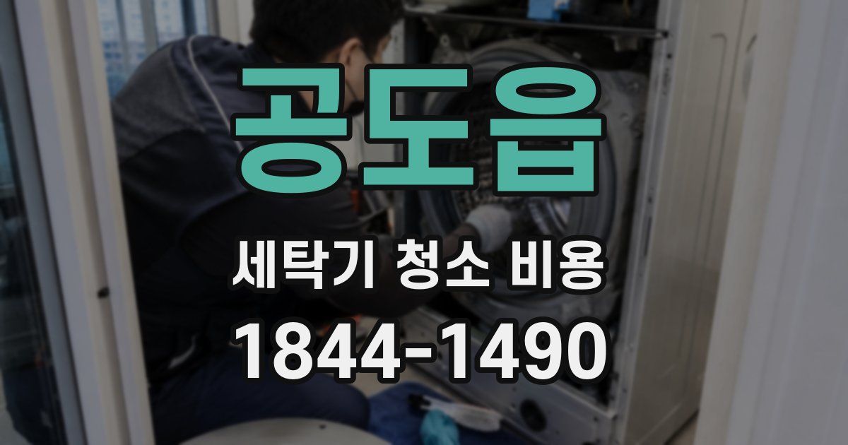 공도읍 세탁기 청소 비용