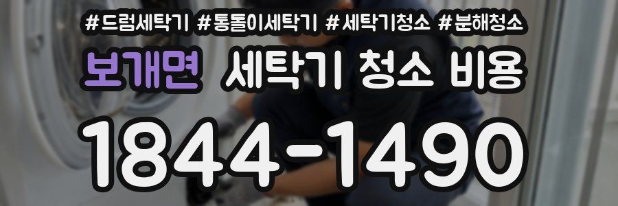보개면 세탁기 청소 비용