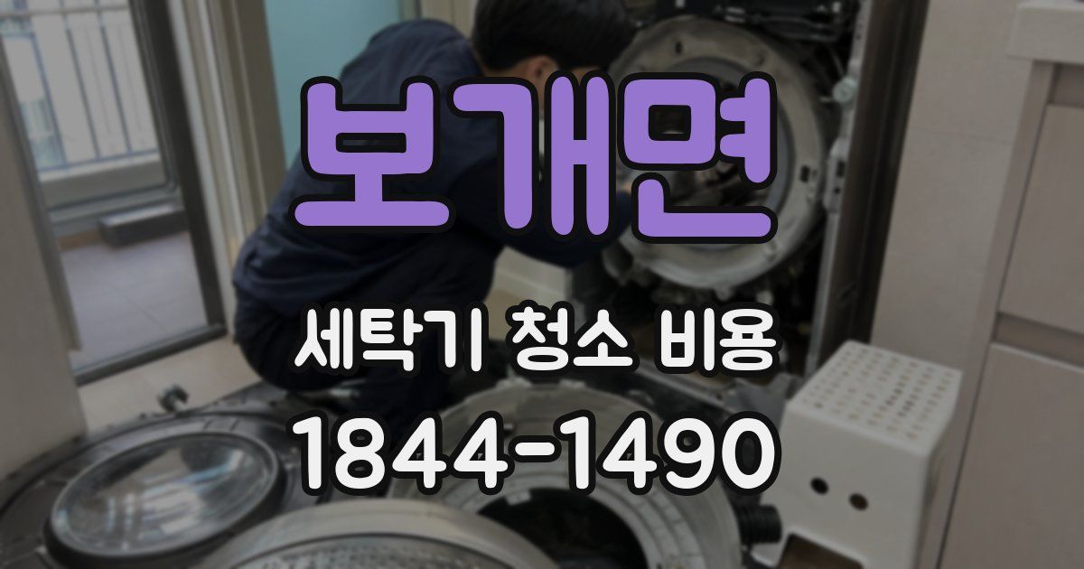 보개면 세탁기 청소 비용