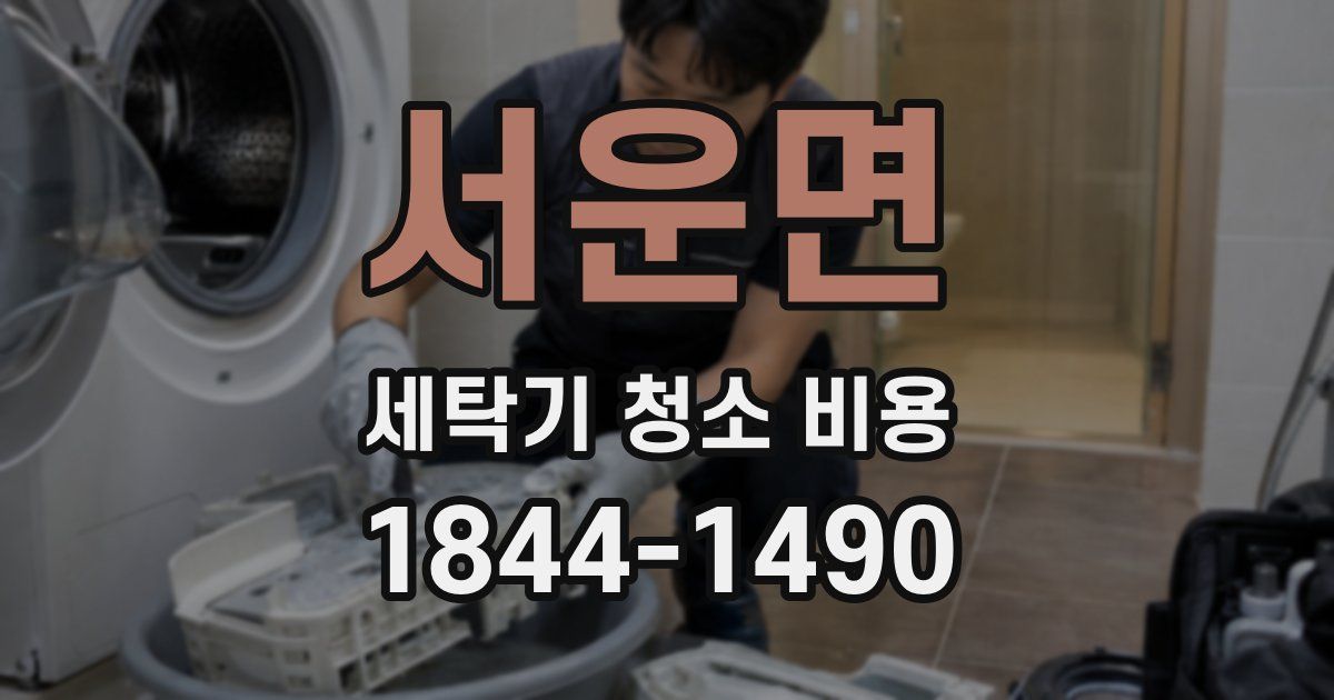 서운면 세탁기 청소 비용