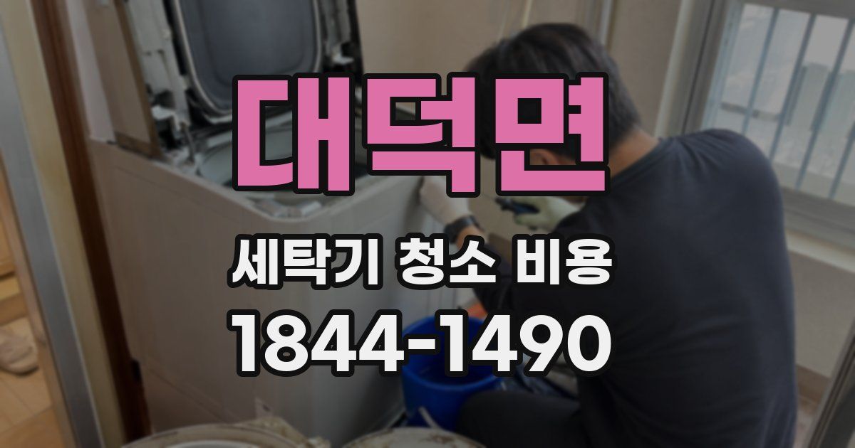 대덕면 세탁기 청소 비용