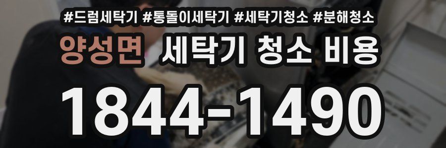 양성면 세탁기 청소 비용