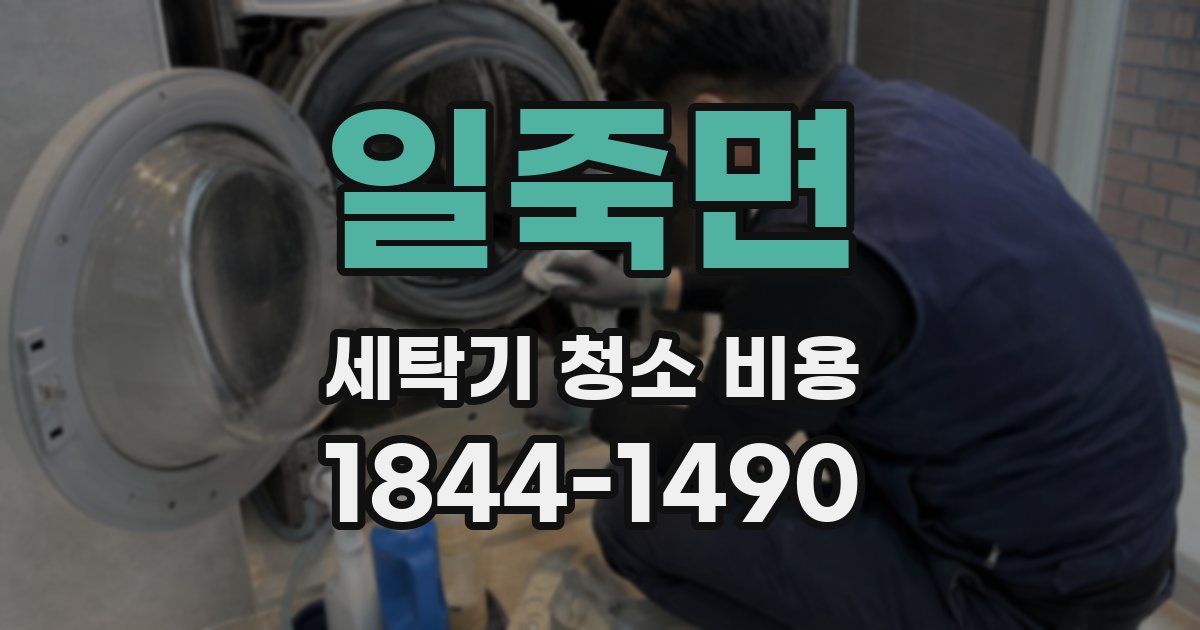일죽면 세탁기 청소 비용