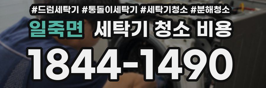 일죽면 세탁기 청소 비용