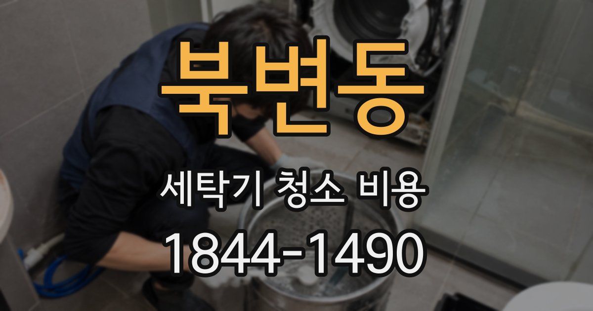 북변동 세탁기 청소 비용