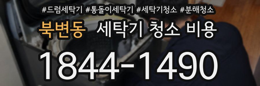 북변동 세탁기 청소 비용