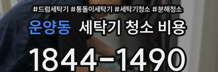 운양동 세탁기 청소 비용