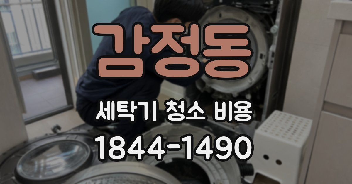 감정동 세탁기 청소 비용