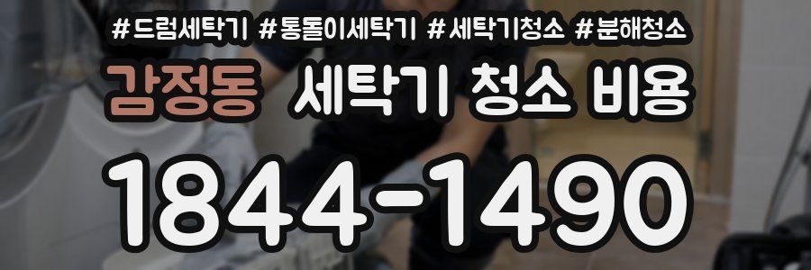 감정동 세탁기 청소 비용
