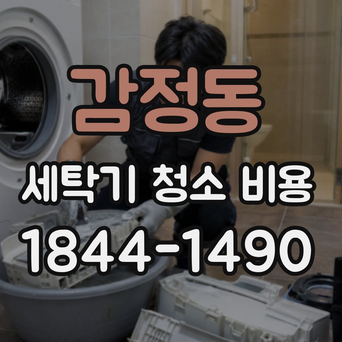 감정동 세탁기 청소 비용