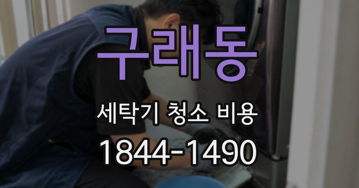 구래동 세탁기 청소 비용
