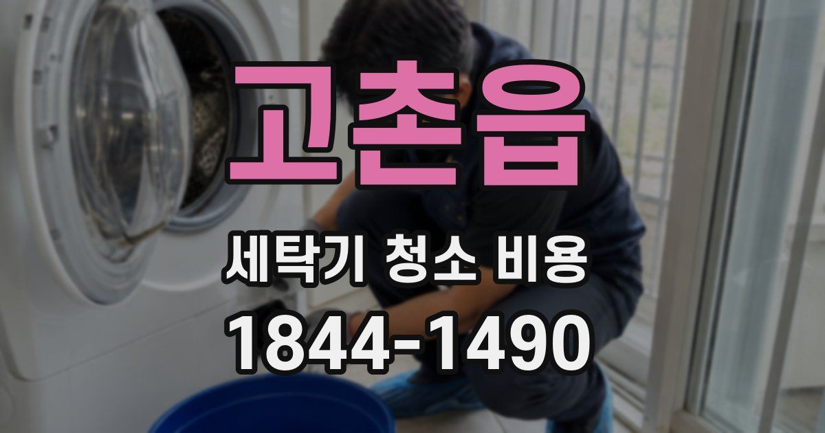 고촌읍 세탁기 청소 비용