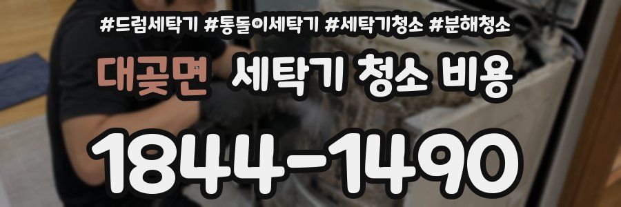 대곶면 세탁기 청소 비용
